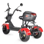Электротрицикл WHITE SIBERIA TRIKE MINI 2000W — изображение 6