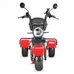 Электротрицикл WHITE SIBERIA TRIKE MINI 2000W — изображение 7