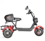 Электротрицикл WHITE SIBERIA TRIKE MINI 2000W — изображение 9