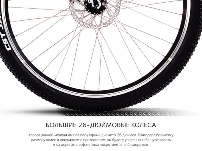 Электровелосипед Airwheel R8 250W (батарея LG 162,8 Вт*ч) — изображение 5