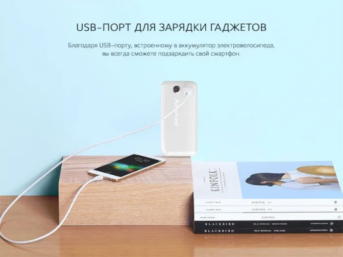 Электровелосипед Airwheel R8 250W (батарея LG 214,6 Вт*ч) — изображение 9