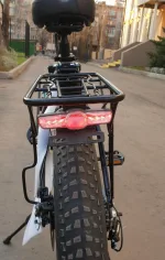 Электровелосипед bikevolt Stinger F1 500W 48V/12Ah с детским креслом — изображение 15