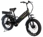 Электровелосипед E-motions Datsha Country — изображение 2