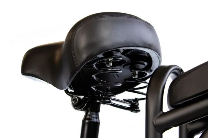 Электровелосипед E-motions Datsha Country — изображение 12