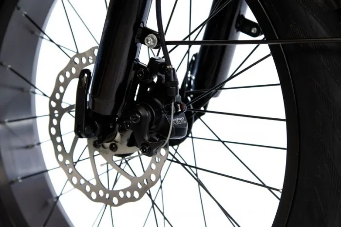 Электровелосипед E-motions Datsha Country — изображение 14