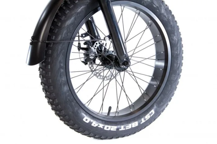 Электровелосипед E-motions Datsha Country — изображение 19