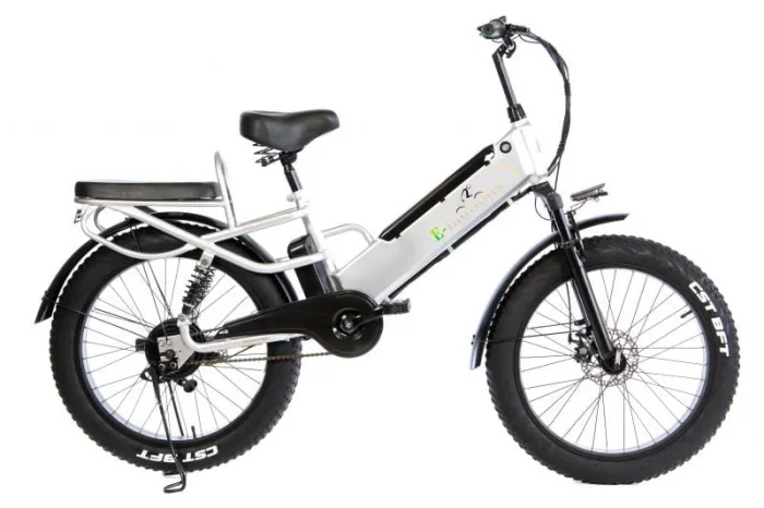 Электровелосипед E-motions' Datsha Expedition — изображение 16