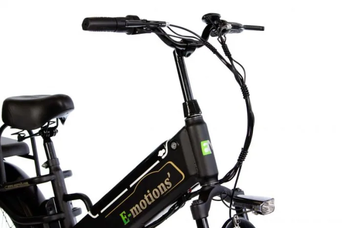 Электровелосипед E-motions' Datsha Expedition — изображение 18