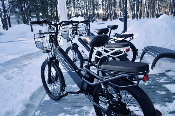 Электровелосипед E-motions Datsha Premium SE — изображение 6