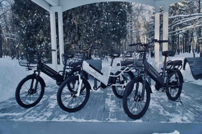 Электровелосипед E-motions Datsha Premium SE — изображение 7