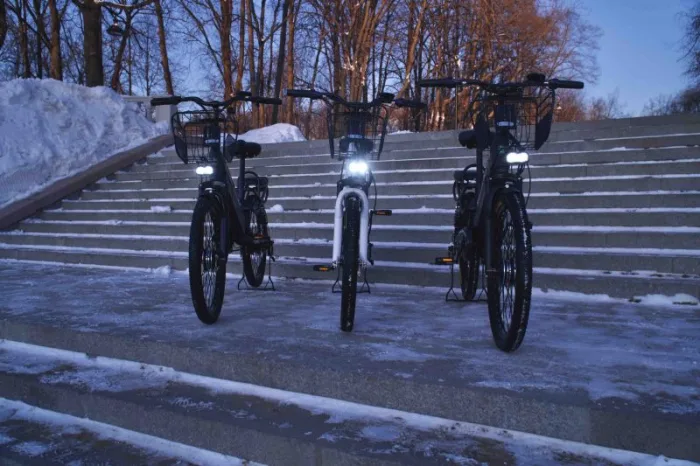 Электровелосипед E-motions Datsha Premium SE — изображение 8