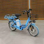 Электровелосипед E-toro Carrier 450W 48V20Ah — изображение 3