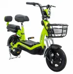 Электровелосипед Elbike Dacha mini 20 600W 48V20Ah — изображение 4