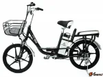 Электровелосипед Elbike Duet 15