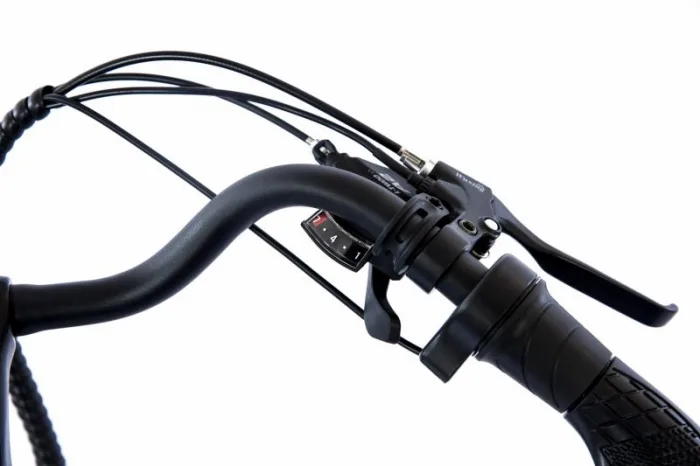 Электровелосипед Elbike Galant Big 250W — изображение 13