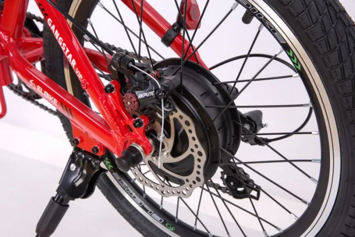 Электровелосипед Elbike Gangstar Vip 500W 48V/13Ah — изображение 6
