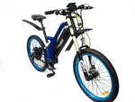 Электровелосипед мощный Elbike TURBO R-75 Vip — изображение 2