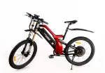Электровелосипед мощный Elbike TURBO R-75 Vip — изображение 12