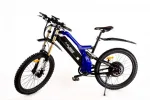 Электровелосипед мощный Elbike TURBO R-75 Vip — изображение 4
