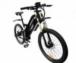 Электровелосипед мощный Elbike TURBO R-75 Vip — изображение 8