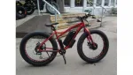 Электровелосипед Electrofatbike Electrofat Navigator 2х500W 48V/10,4Ah — изображение 11