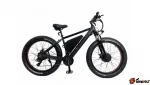 Электровелосипед Electrofatbike Electrofat X-raider FR-1000 2х500W 48V/20Ah