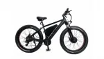 Электровелосипед Electrofatbike Electrofat X-raider FR-1000 2х500W 48V/20Ah — изображение 2