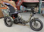 Трехколесный электровелосипед Fat Trike Phaeton 750 48V 18Ah — изображение 3