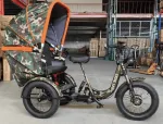 Трехколесный электровелосипед Fat Trike Phaeton 750 48V 18Ah — изображение 4