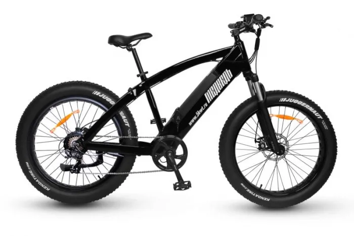 Электровелосипед фэт-байк Медведь 2.0 750 750W 48V/14Ah — изображение 4