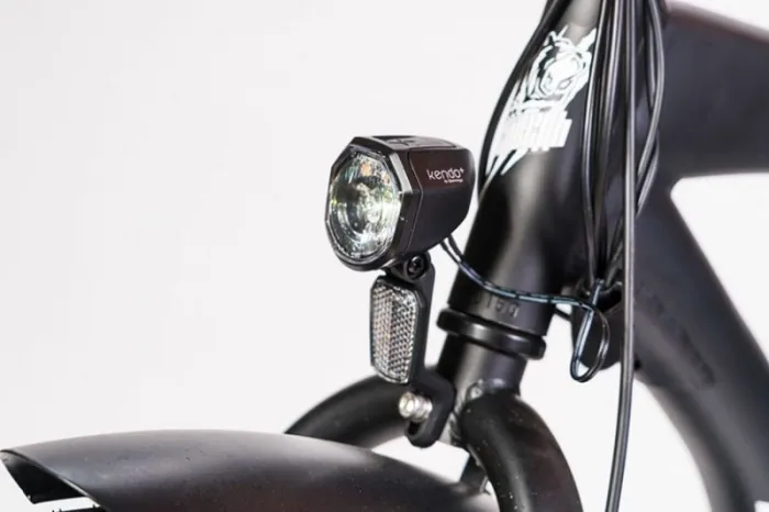 Электровелосипед фэт-байк Медведь Cruise 750W 48V/12,8Ah — изображение 7