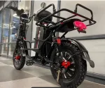 Электровелосипед Gbike GT Monster MAX 30 Зима — изображение 3