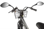 Трехколесный электровелосипед GREEN CITY e-ALFA Trike — изображение 11