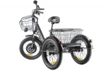 Трехколесный электровелосипед GREEN CITY e-ALFA Trike — изображение 4