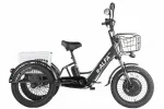 Трехколесный электровелосипед GREEN CITY e-ALFA Trike — изображение 6