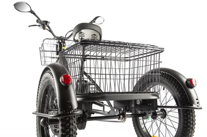 Трехколесный электровелосипед GREEN CITY e-ALFA Trike — изображение 7