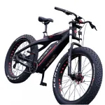 Электровелосипед GreenCamel Kontax (R26FAT Kenda 750W Bafang 48V LG 13Ah) carbon, torque, Altus 8скор — изображение 3