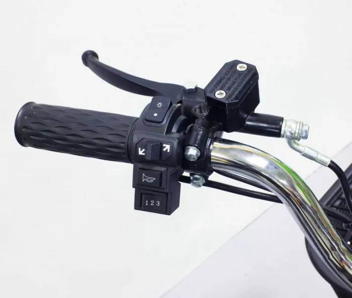 Электровелосипед GreenCamel Транк-18-60 (R18 500W 60V) Alum — изображение 11