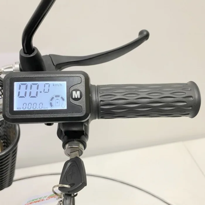 Электровелосипед GreenCamel Транк 18 V8 PRO (R18 250W) — изображение 14