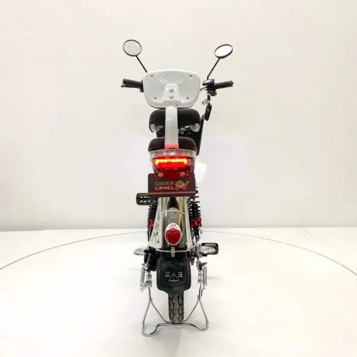 Электровелосипед GreenCamel Транк 18 V8 PRO (R18 250W) — изображение 7