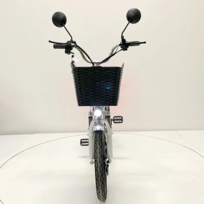 Электровелосипед GreenCamel Транк 18 V8 PRO (R18 250W) — изображение 8