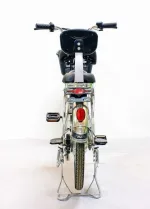 Электровелосипед GreenCamel Транк-20 V2 (R20 250W) Алюм, редукторный — изображение 8