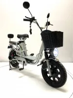 Электровелосипед GreenCamel Транк Монстр PRO (R16FAT 60V 500W) гидравлика, 2х подвес,DD — изображение 3