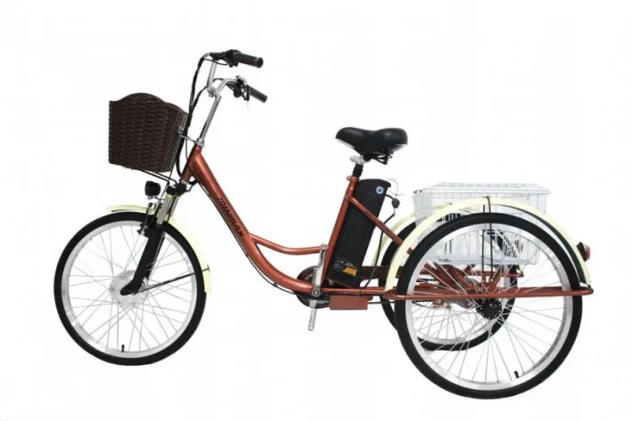 Электровелосипед GreenCamel Трайк-24 (R24 500W 48V 15Ah)(уценка,повреждения ЛКП) — изображение 3