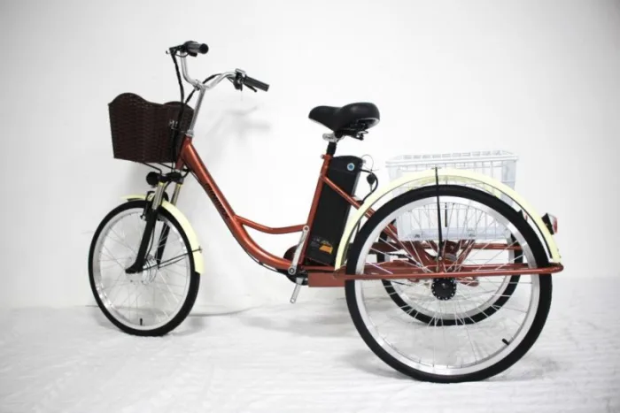 Электровелосипед GreenCamel Трайк-24 (R24 500W 48V 15Ah)(уценка,повреждения ЛКП) — изображение 5