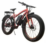 Электровелосипед Horza Stels Aggressor MD-750 Travel — изображение 3
