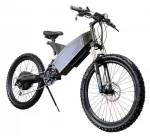 Электровелосипед мощный Horza Teleport PD-3000 — изображение 5