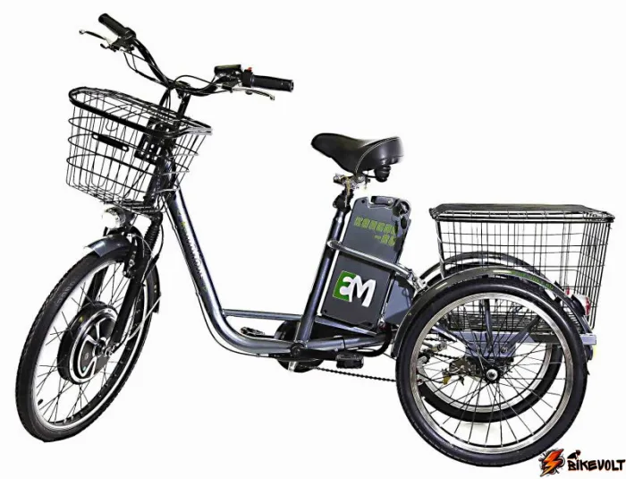 elektrovelosiped-trehkolesnyj-e-motions-kangoo-ru-500w-pro-li-ion-18ah-0 Электровелосипед трехколесный E-motions Kangoo-ru 500W Pro Li-ion 18Ah — изображение 1