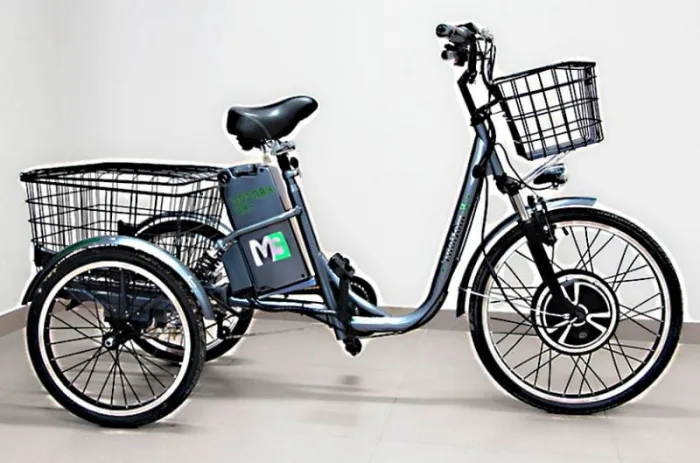 Электровелосипед трехколесный E-motions Kangoo-ru 500W Pro Li-ion 18Ah — изображение 3