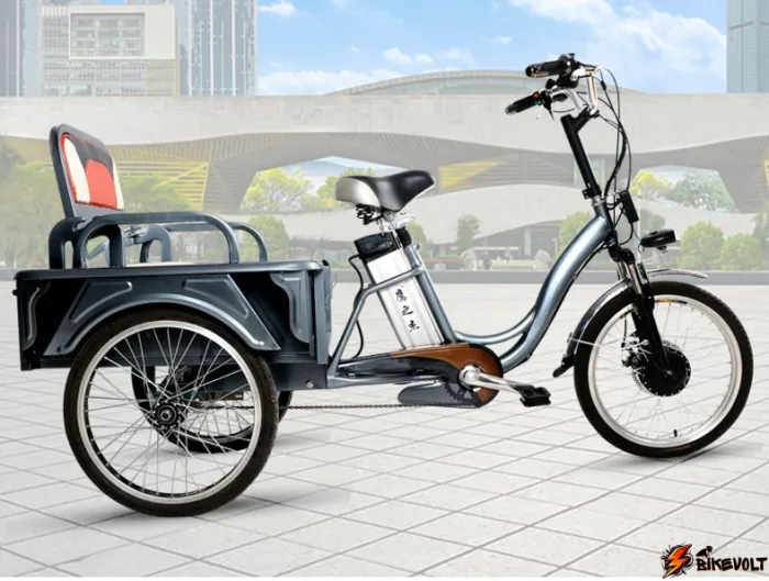 elektrovelosiped-trehkolesnyj-e-toro-passenger-kargo-0 Электровелосипед трехколесный E-toro Passenger Kargo — изображение 1